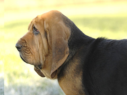 Logical at 14 weeks of age.